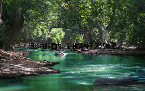 漫步在校园内, 仿佛置身于天然氧吧