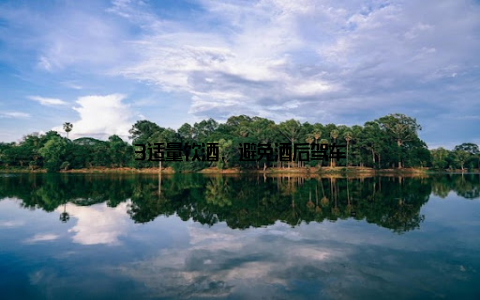 3适量饮酒, 避免酒后驾车