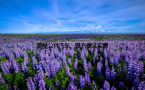 乘坐公共汽车, 既方便又实惠